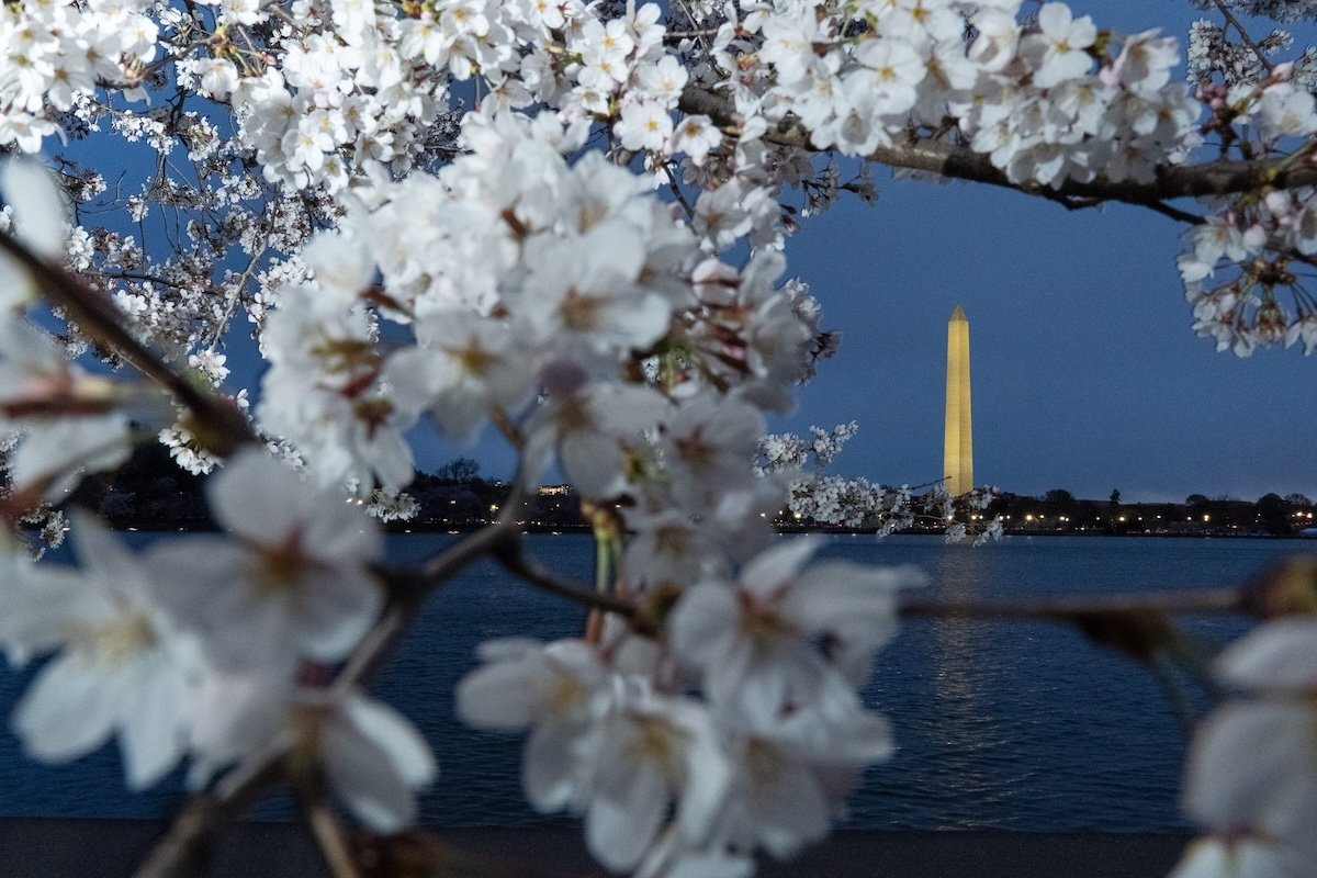 Washington D.C., Online Casino Bill Introduced, Sweepstakes Out